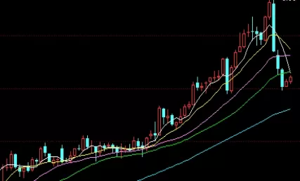 读完秒懂！铅期货直播室：实时信息与深度分析的汇聚地