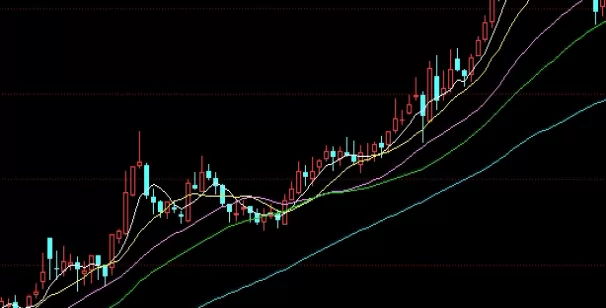 瞬间明白！进口肉类期货报盘（市场动态与投资指南）