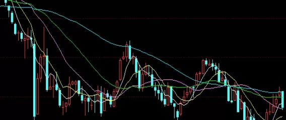 颇为重要！期货谷物农禽(谷物期货交易)