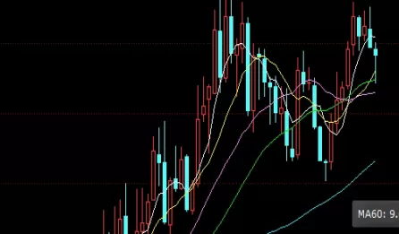 新手指南！公募基金能否投资期货(公募基金能否投资期货行业)