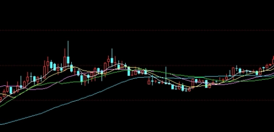豆粕最新消息豆粕报价(豆粕最新价格行情今日报价查询)