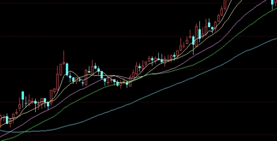 收获颇丰！上海金属交易网：有色金属行业的资讯门户与创新先锋