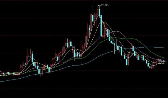 郑州交易所期货交易保证金(郑州交易所期货交易保证金怎么交)