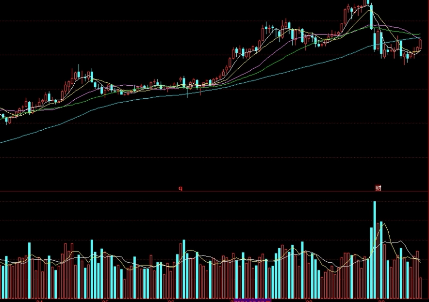 国信期货有哪些品种的(国信期货的交易品种)
