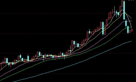 绝不藏拙！前海期货直播间(增强了信息的透明度和及时性)