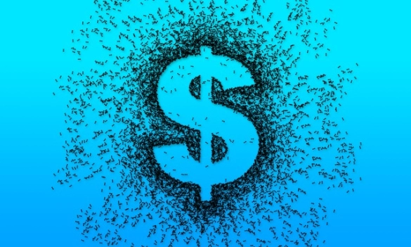 学以致用！期权代码：金融市场的密码与策略