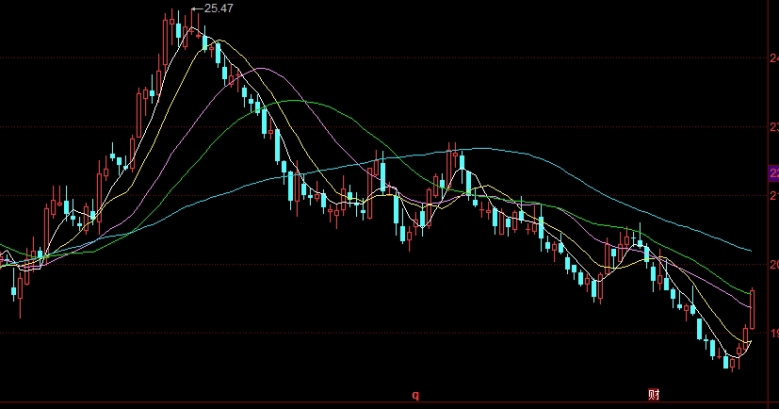 看涨期权代码怎么看(看涨期权用什么字母表示)